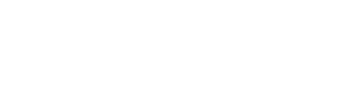 WL logo white